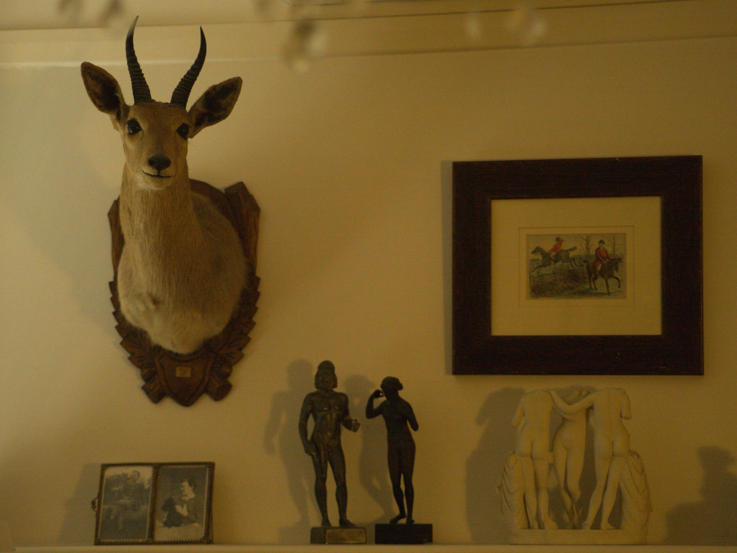 Beauty Everyday, 15: A collection of pieces on an interior wall, including a deer head, life sculptures, a drawing and old photographs.