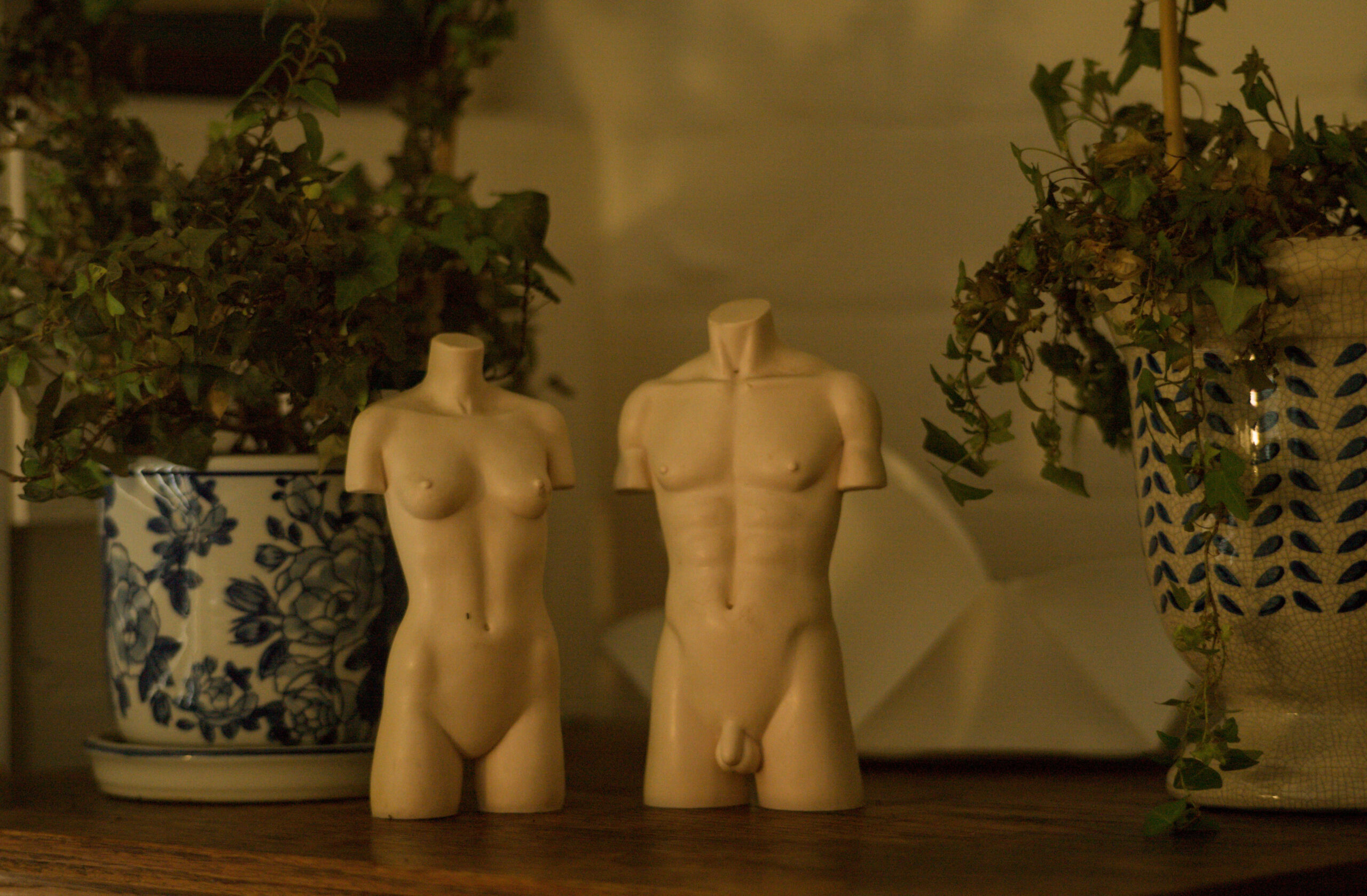 Beauty Everyday, 16: Sculptural figures arranged together alongside interior plants, photographed in warm light.