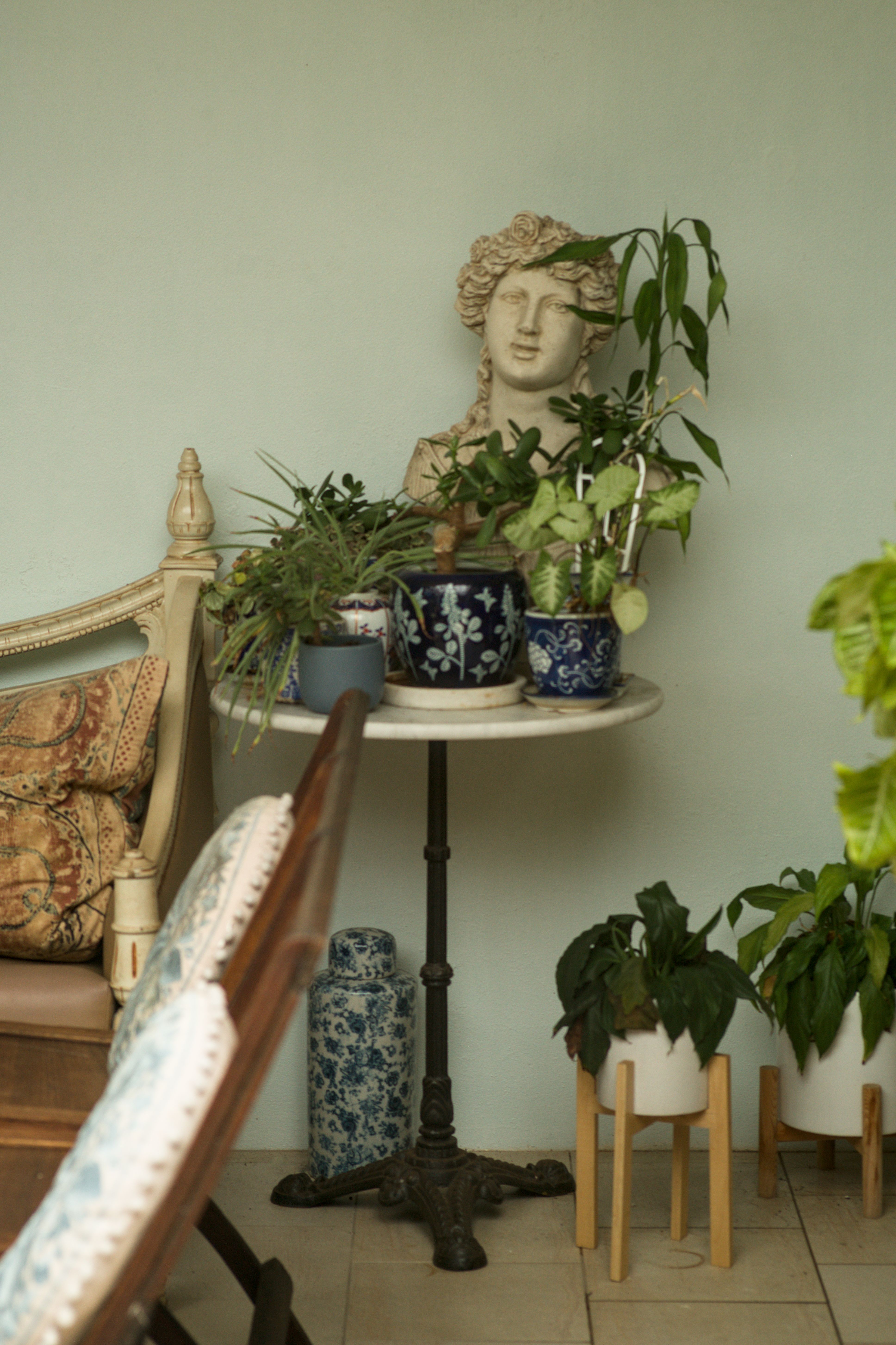 Beauty Everyday, 2: A table of potted plants in front of a classical sculpted bust.
