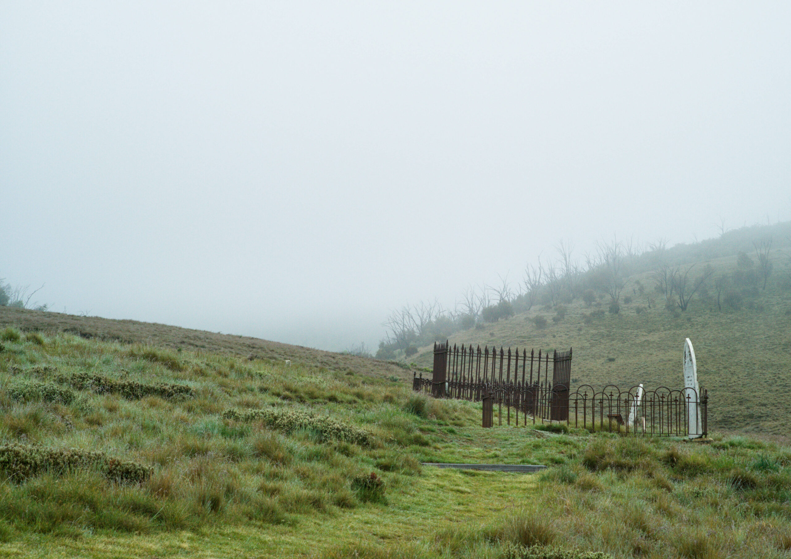 Remains, 3: Iron fenced graves on a grassy hillside fading into fog.