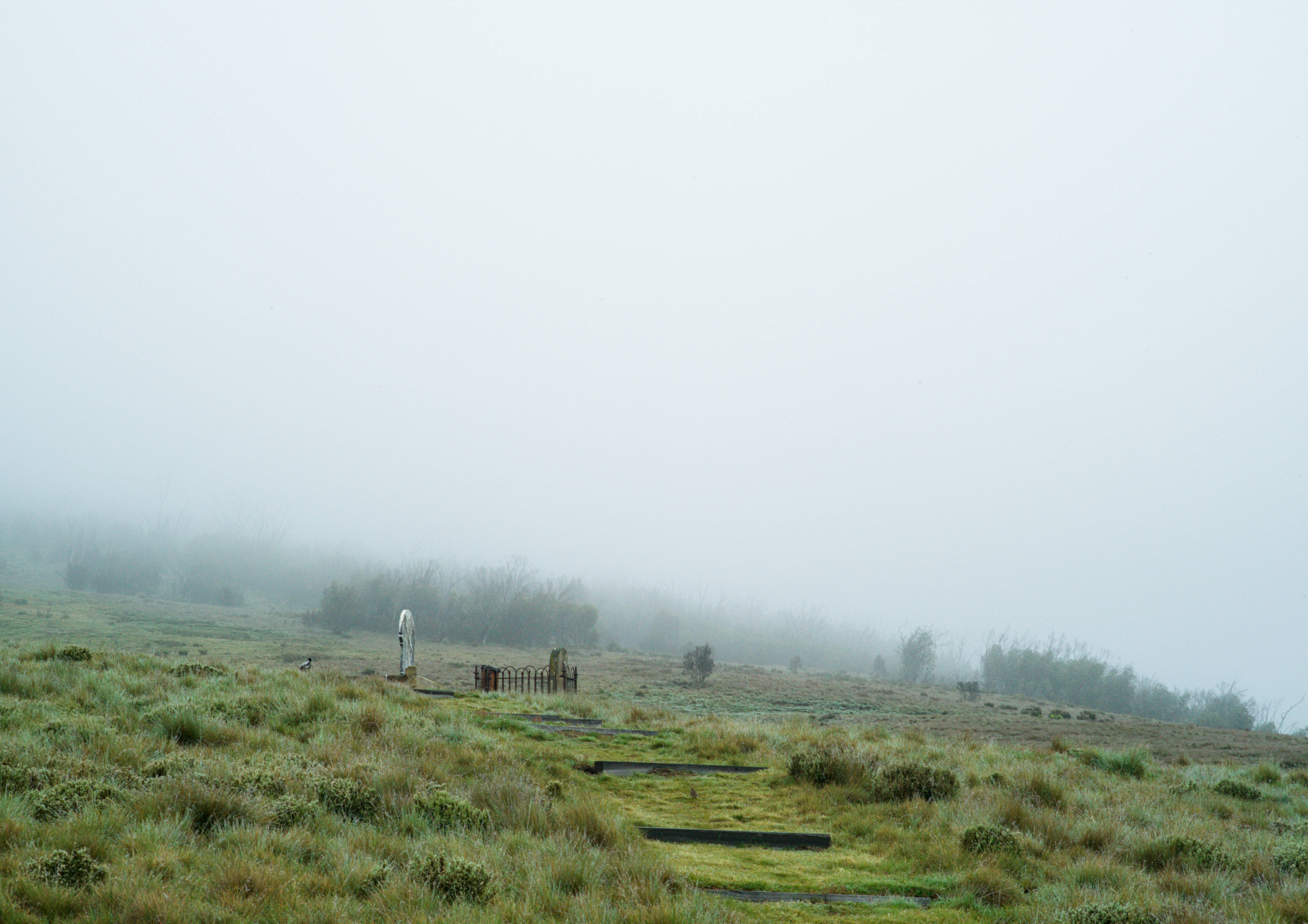 Remains, 5: Distant grave markers on an uphill field beneath dense fog.
