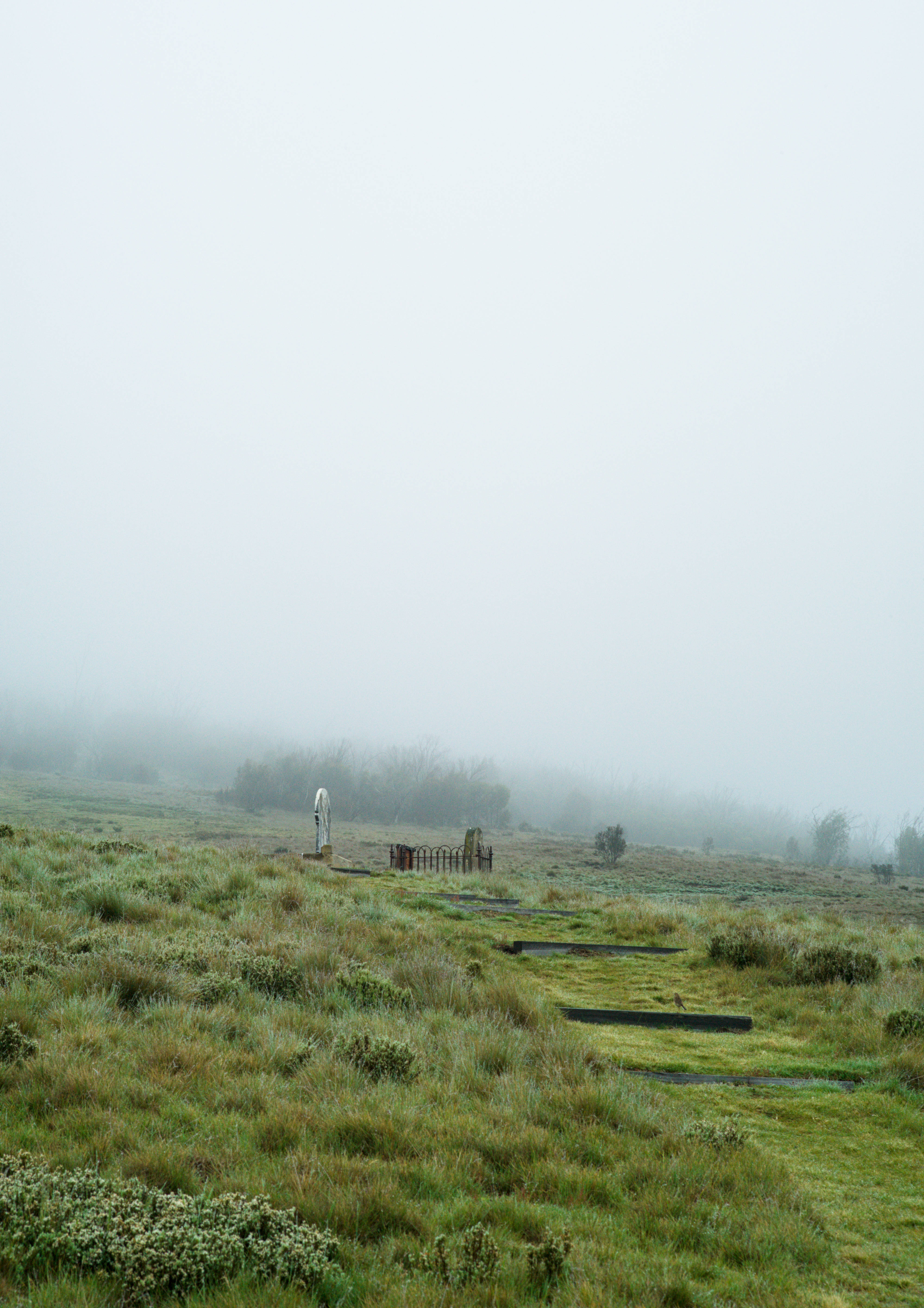Remains, 2: Distant grave markers on an uphill field beneath dense fog.